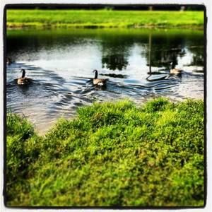 Meet your Posher, Darrin